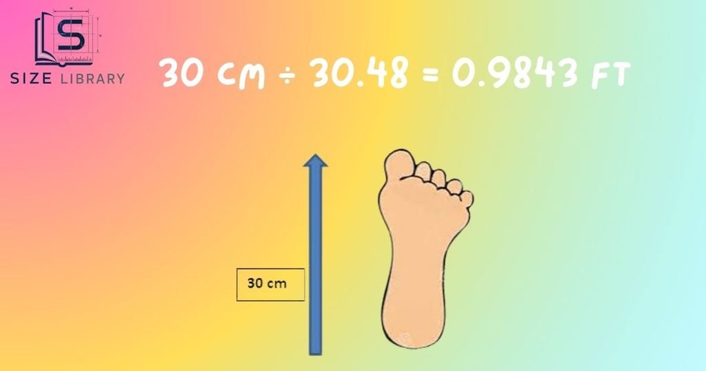 30 cm in Feet
