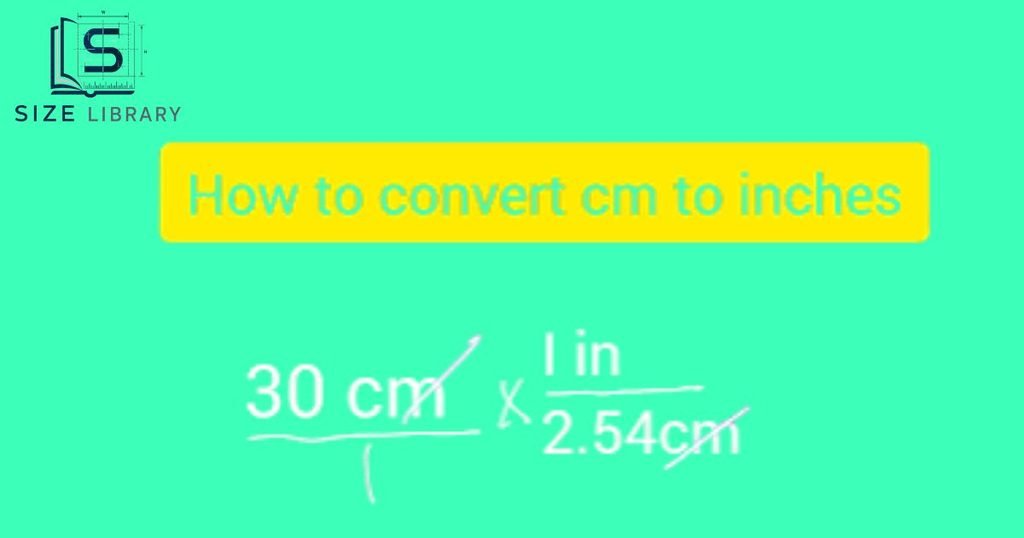 How to Convert 30 cm to Inches 