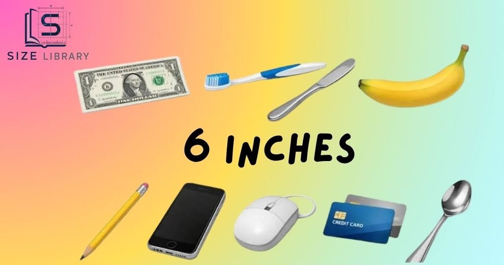 What Does 6 Inches Look Like
