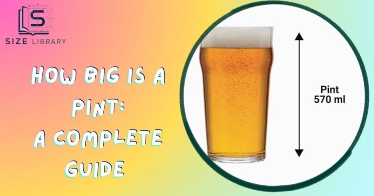 how big is a pint