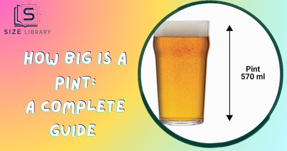 how big is a pint